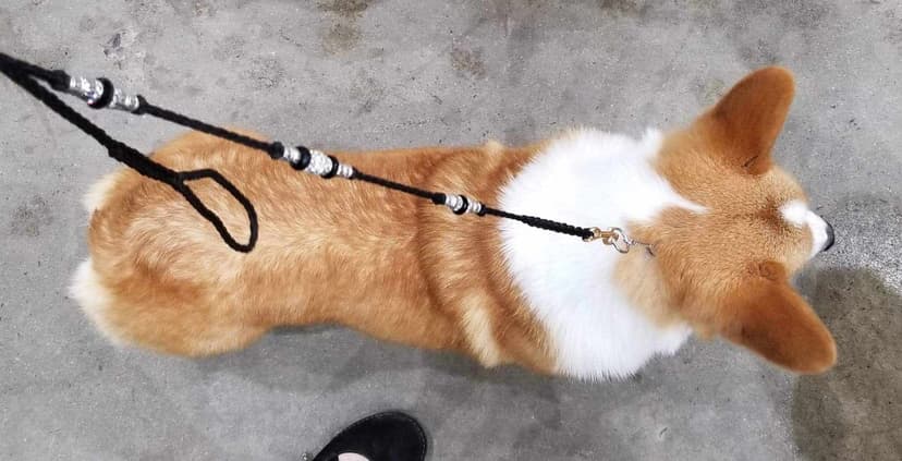 Perfect from Every Angle